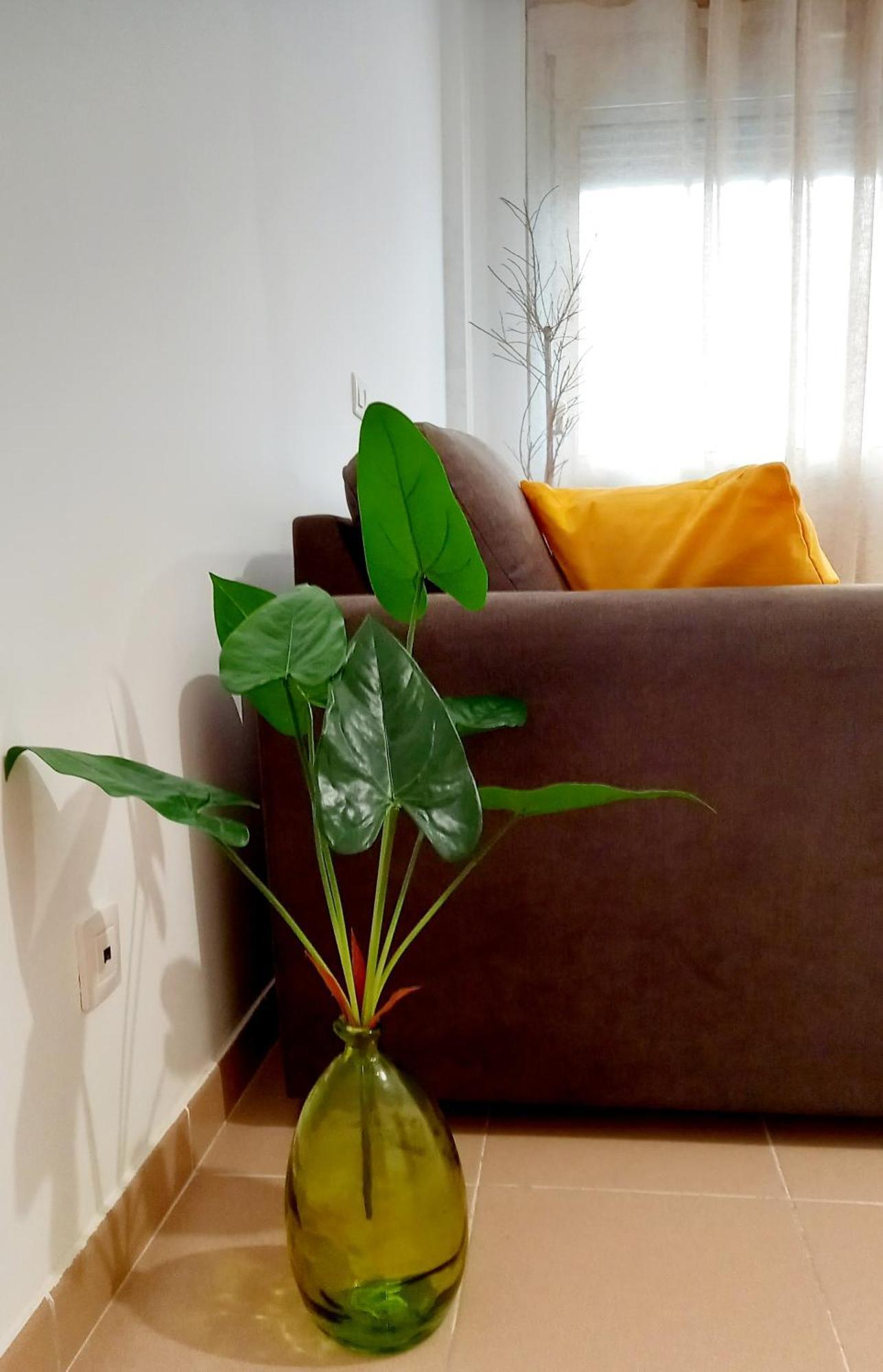 Greenhouse Sardina 外观 照片
